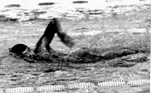 ͼ1������Ӿ