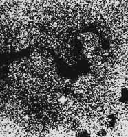 �߷���S״������