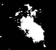 ��������ϵ��NGC 4449��