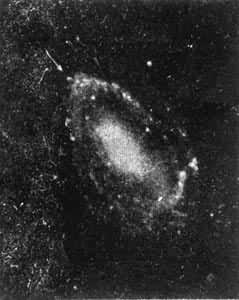 NGC 4725�����ϵĳ�����  1931��