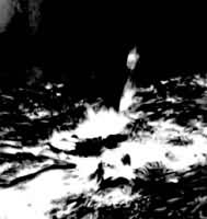 �����Ե�ĳ���