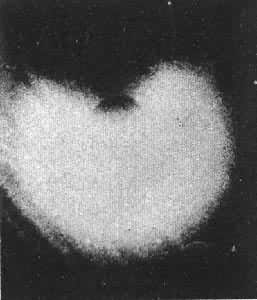 ���ᣨ�������������ĵ���Զ������Ƭ��