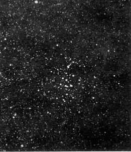 �����ţ�M44��