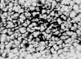 ����̫���Ĺ���������֯