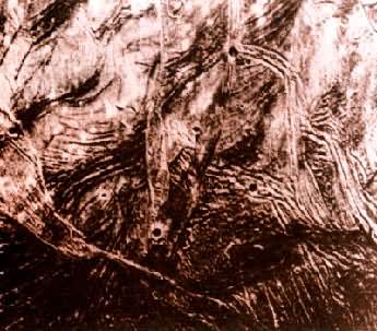 ľ�����ı���  �ݺύ���Ĺ��ƣ������Ǳ���ı��Ρ�