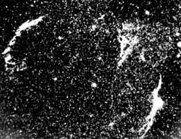 �������״����NGC 6992�����ϣ���NGC 6960�����£�