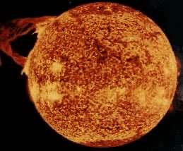 ̫��������Ƭ  �����ʵ�������㣬���Ϸ���һ���ߴ�40����ľ޴�������