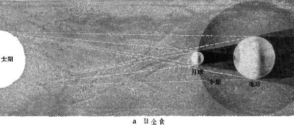 ͼ1a  ��ʳ����ʾ��ͼ  ��ȫʳ