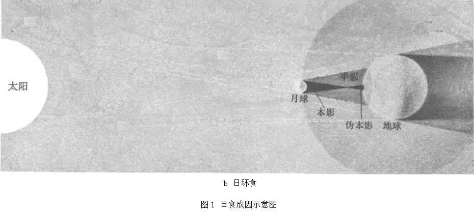 ͼ1b  ��ʳ����ʾ��ͼ  �ջ�ʳ