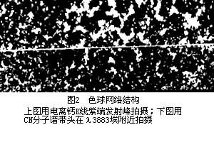 ͼ2  ɫ������ṹ