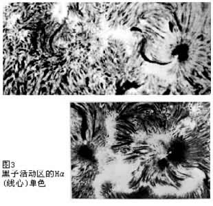 ͼ3  ���ӻ����Ha�����ģ���ɫ��