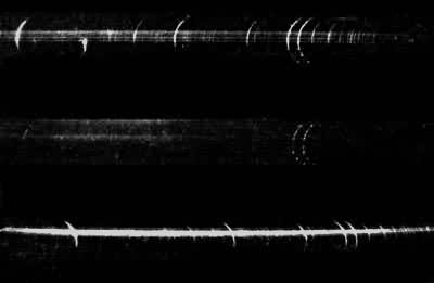 ̫���������