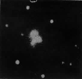 �����A�����ϵ