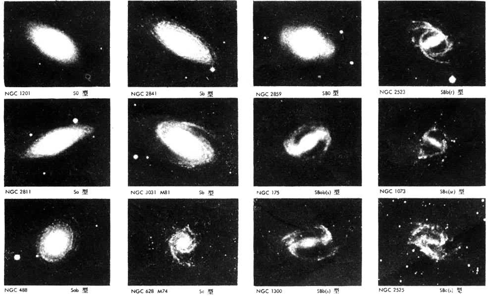 ��ϵ�ĸ�����̬