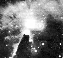 ��������״����