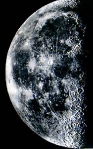 ��������Ƭ