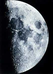 ��������Ƭ