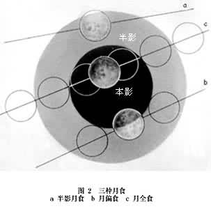 ͼ2  ������ʳ  a��Ӱ��ʳ  b��ƫʳ  c��ȫʳ