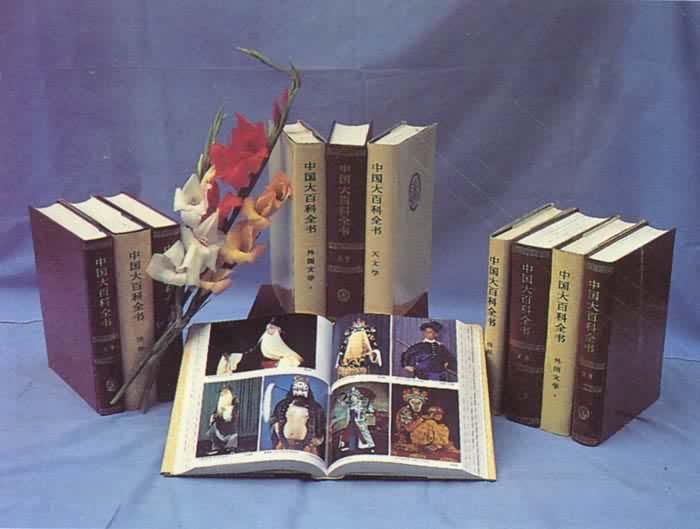 ���й���ٿ�ȫ�顷