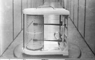 ��ʪ����