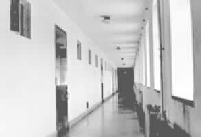 ɽ��ʡ�����ݵĻ�������