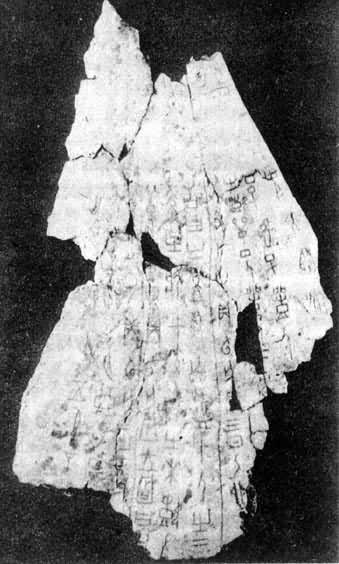 ���̡��׹ǲ��ǣ�ţ�ǣ�