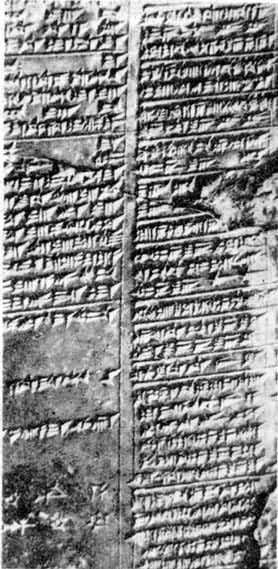 ��������-��������˫��ʵ�