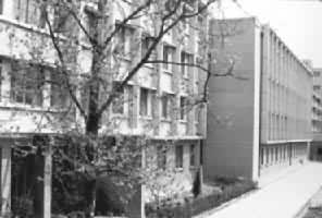 ɽ��ʡ�������⾰