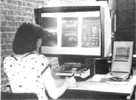 �Ķ���΢Ʒ����