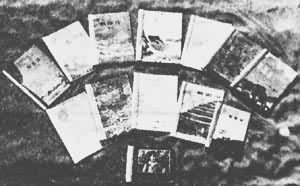 ԥ�硶���������籾�ĸ��ְ汾