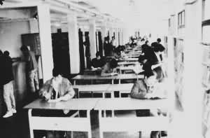 �Ϻ��й����Ļ���ͼ��ݱ���������