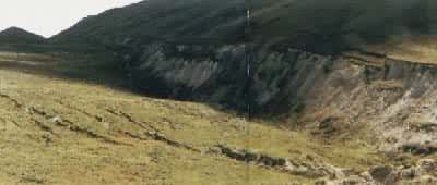 ���ڵ����ڵ����γɵĶ��Ѷ���