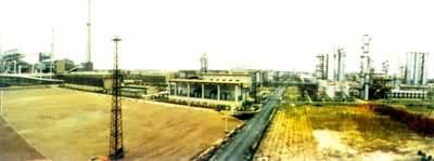 �Ϻ���ɽ������˾��¯��ú����������ȫ��