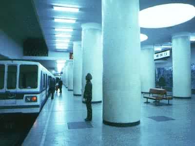 �ֹܻ�����������������������������վվ��