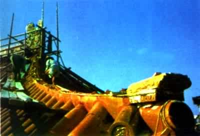 ������ɽ�ٻʵ����������������ʩ��