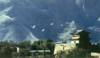 ɽ���ء������ﳤ�Ƕ��˵���Ҫ�ذ����ơ����µ�һ�ء���λ�ںӱ�ʡ