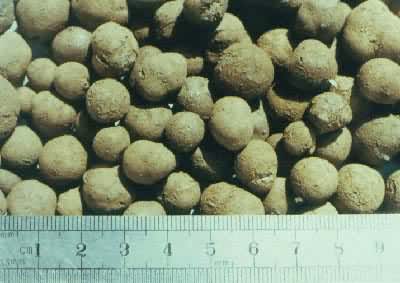 �����Ἧ�ϡ���ճ������