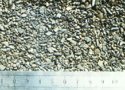 ������ϸ���ϡ�������ҳ����ɰ