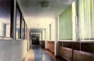 ��ʯ���컨���ʯ��ǽ���װ�޵�����