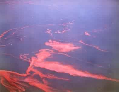 �ೱ����ˮ�������ĺ����ͺӿڳ��ֵ����������ˮ�����ʹˮ����Ⱦ