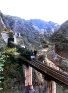 ӥ������������