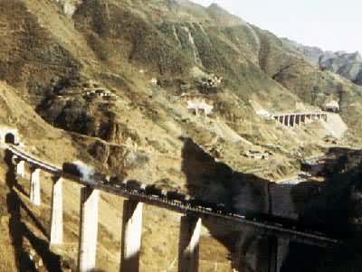 �����ߺ���������Ⱥ