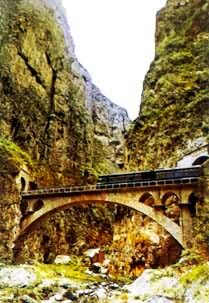 �й�������һ�����������买��