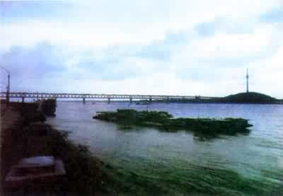 �й��人������