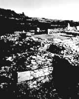 ������ķ�����ų���ַ