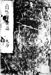 ����Ȼ��Ӫ��������