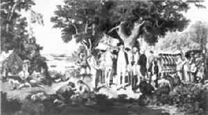 J.��ˣ��У���ֲ�����½