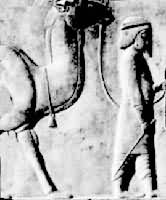 �Ϳ���������