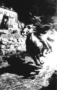 P.��ά���۱�Ӣ���������ֵ���Ϣ