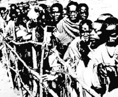 ��¡��Ⱥ�ڲμ�ͶƱѡ��